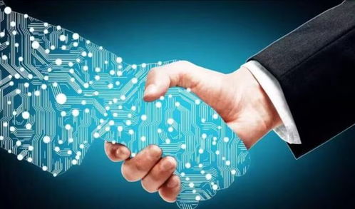 宇意閣深度解析 2023年，數(shù)字技術(shù)服務(wù)——不可錯(cuò)過的下一個(gè)投資風(fēng)口